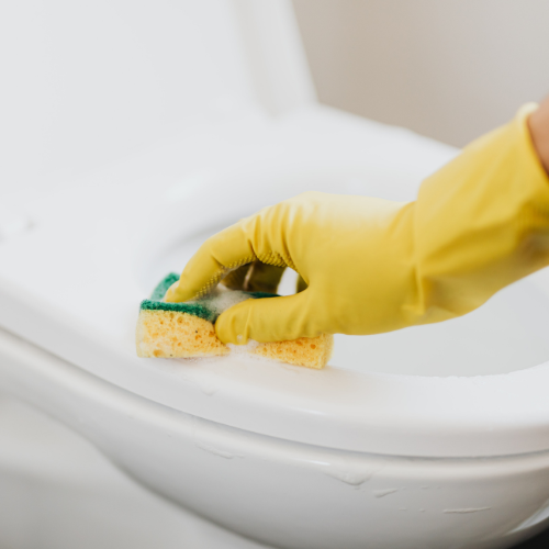 Bathroom Cleaners