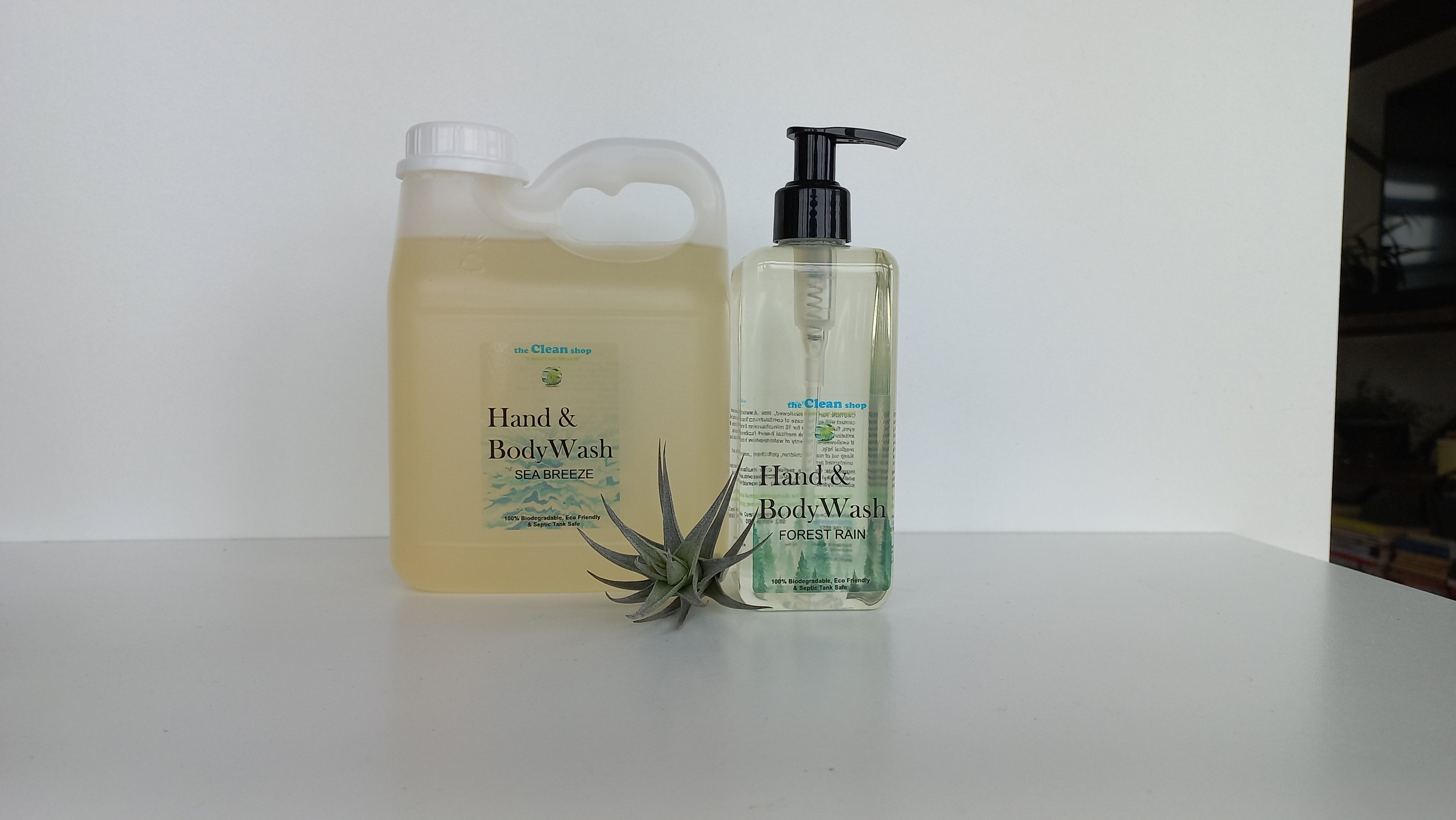 Hand & Body Wash Seabreeze